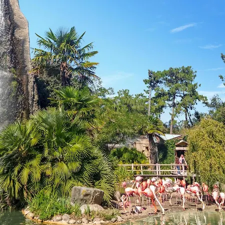 Awesome In Ferienhaus Dolus d'Oléron