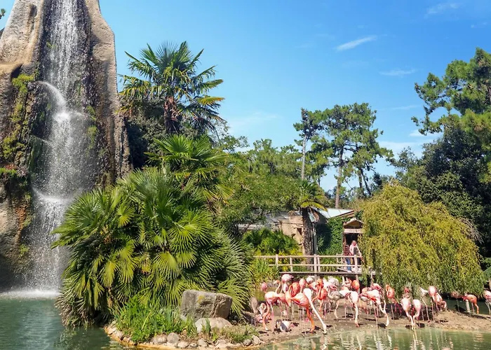 Awesome In 펜션 Dolus d'Oléron